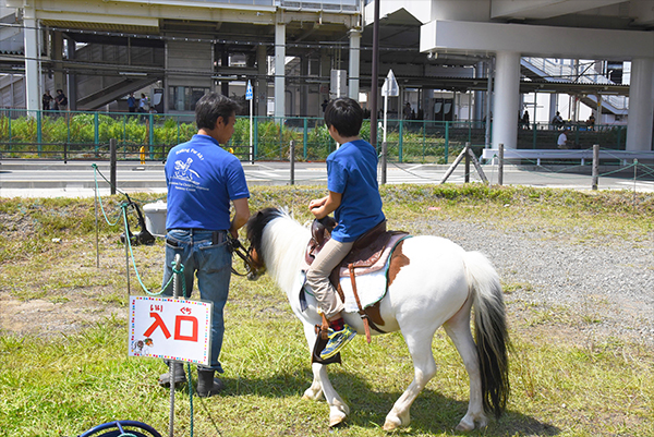 子どもも楽しめるように、小動物を抱っこできるコーナーや、ポニー乗馬などのコーナーも用意されていました。