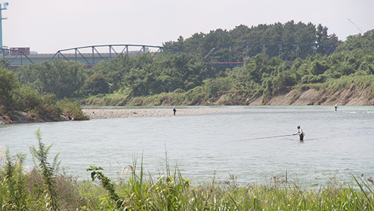 相模川 鮎釣り